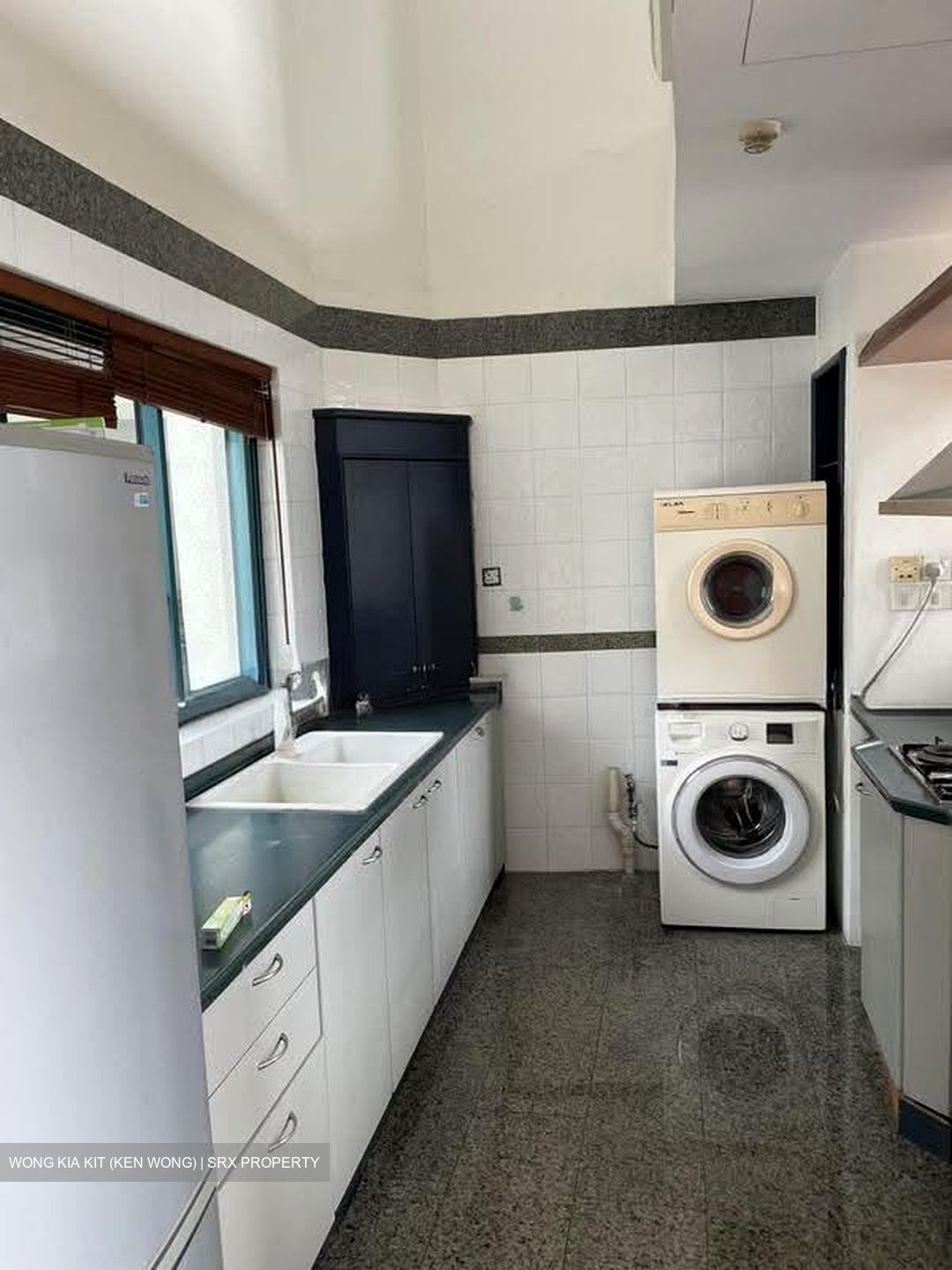 The Legend (D10), Condominium #623122871